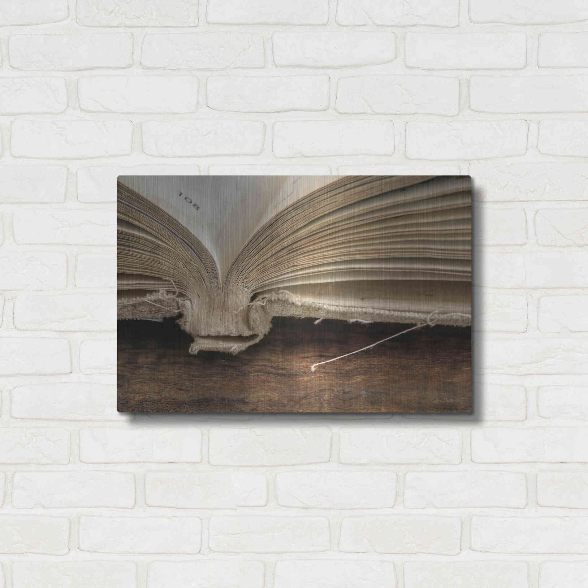 Luxe Metal Art 'Page 108' by Lori Deiter, Metal Wall Art,24x16