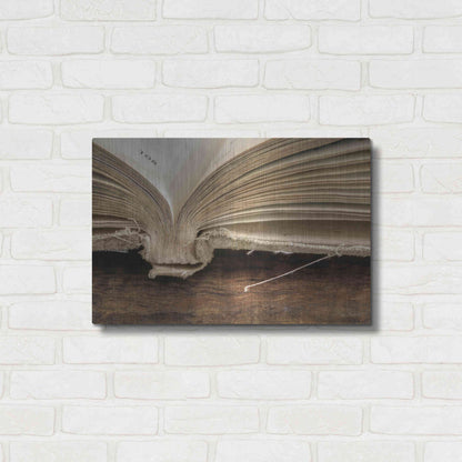 Luxe Metal Art 'Page 108' by Lori Deiter, Metal Wall Art,24x16