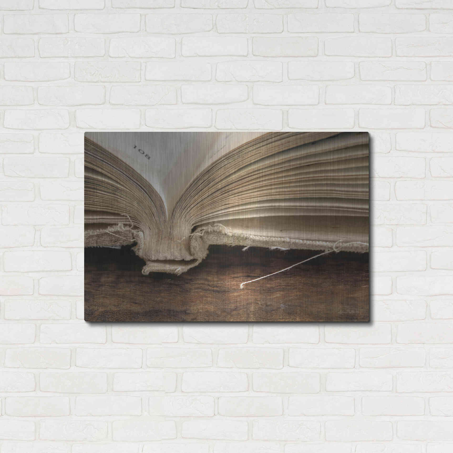 Luxe Metal Art 'Page 108' by Lori Deiter, Metal Wall Art,36x24