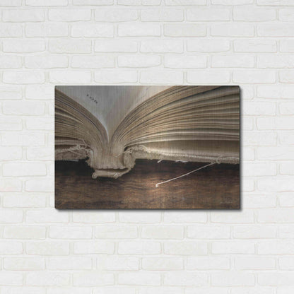 Luxe Metal Art 'Page 108' by Lori Deiter, Metal Wall Art,36x24