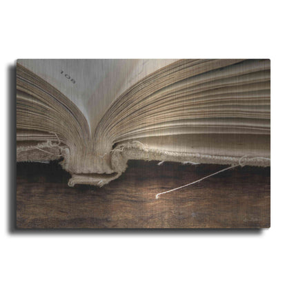 Luxe Metal Art 'Page 108' by Lori Deiter, Metal Wall Art