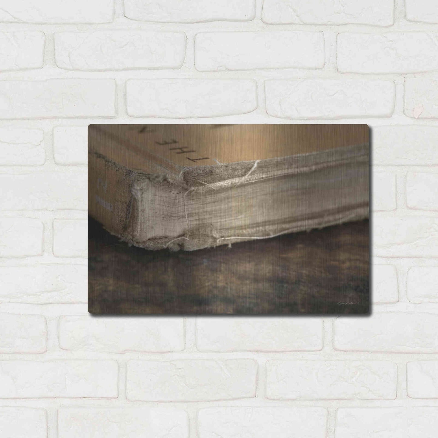 Luxe Metal Art 'Well Read' by Lori Deiter, Metal Wall Art,16x12
