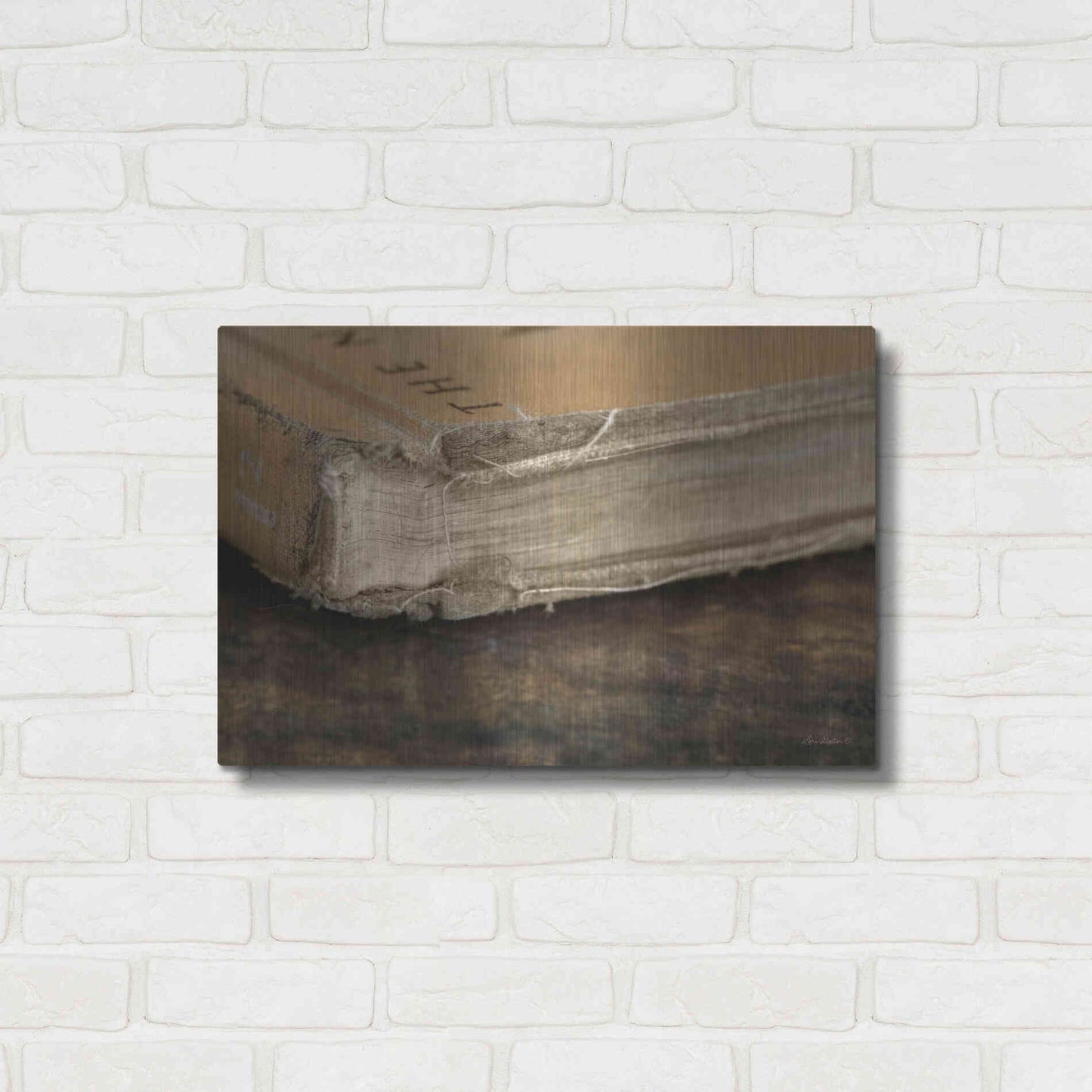 Luxe Metal Art 'Well Read' by Lori Deiter, Metal Wall Art,24x16