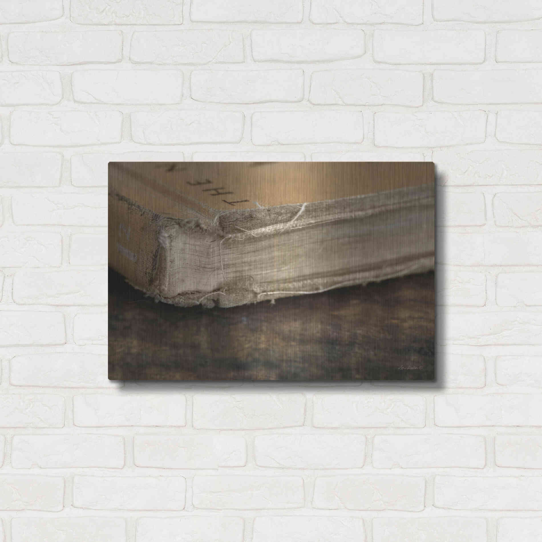 Luxe Metal Art 'Well Read' by Lori Deiter, Metal Wall Art,24x16