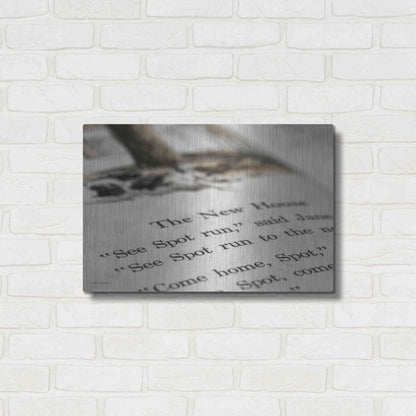 Luxe Metal Art 'See Spot Run' by Lori Deiter, Metal Wall Art,24x16