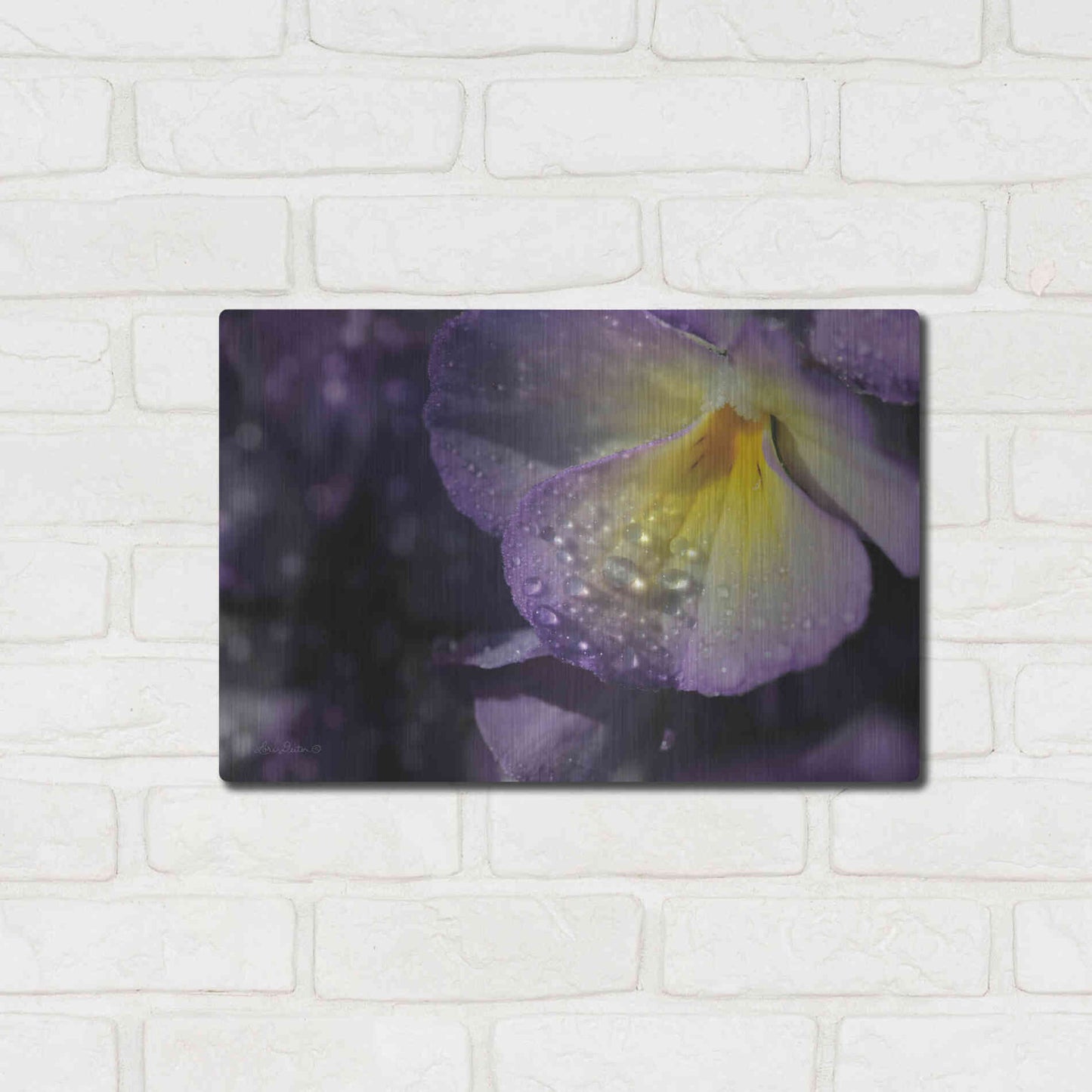 Luxe Metal Art 'Purple Pansy' by Lori Deiter, Metal Wall Art,16x12