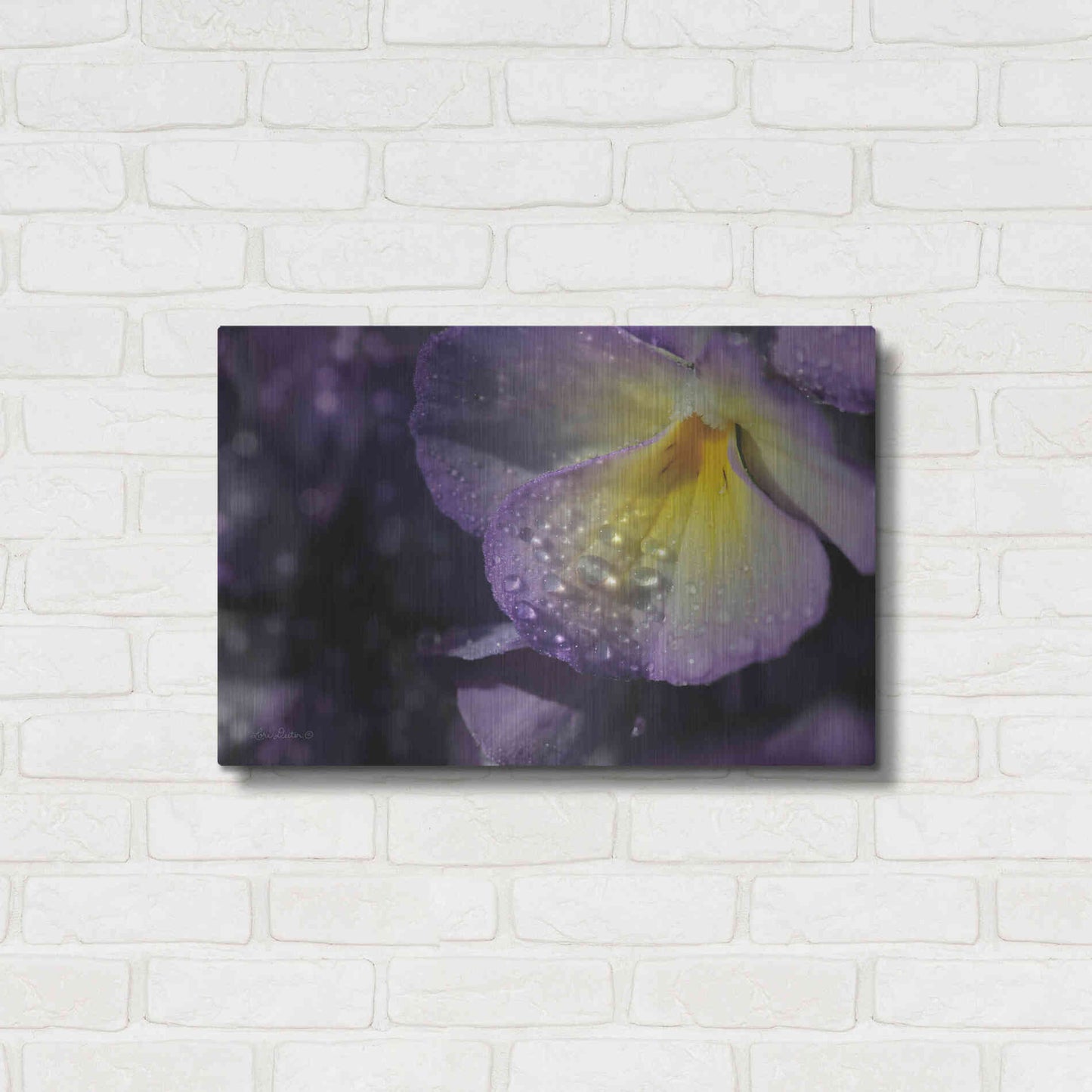 Luxe Metal Art 'Purple Pansy' by Lori Deiter, Metal Wall Art,24x16