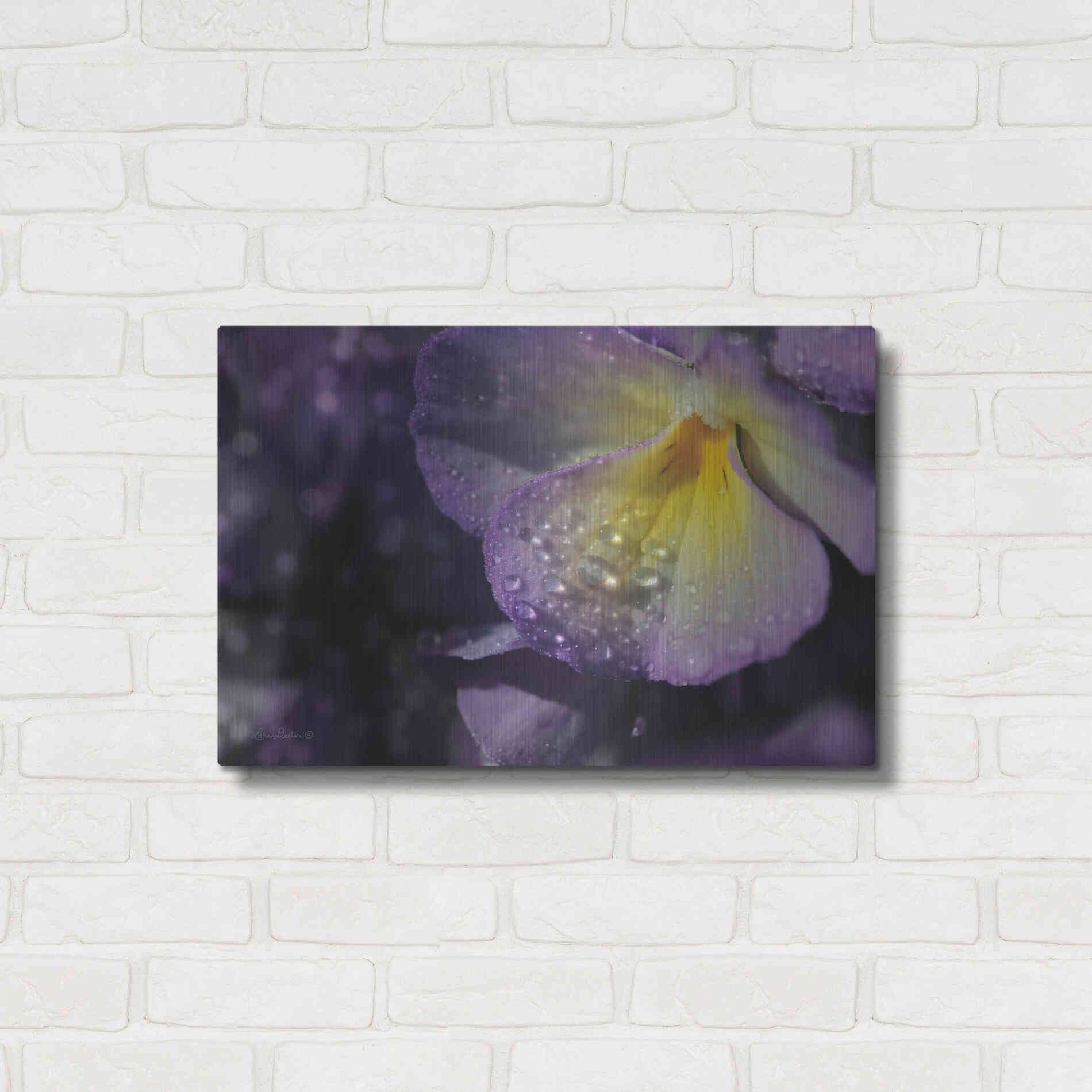 Luxe Metal Art 'Purple Pansy' by Lori Deiter, Metal Wall Art,24x16