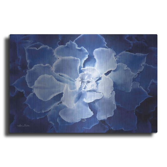 Luxe Metal Art 'Blue Succulent I' by Lori Deiter, Metal Wall Art
