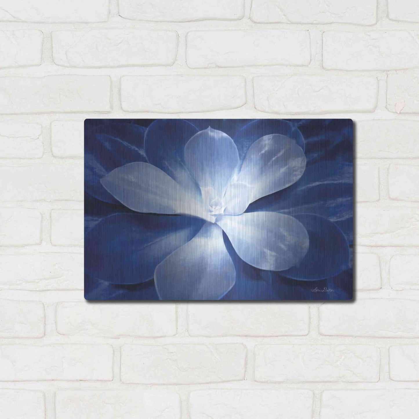Luxe Metal Art 'Blue Succulent II' by Lori Deiter, Metal Wall Art,16x12
