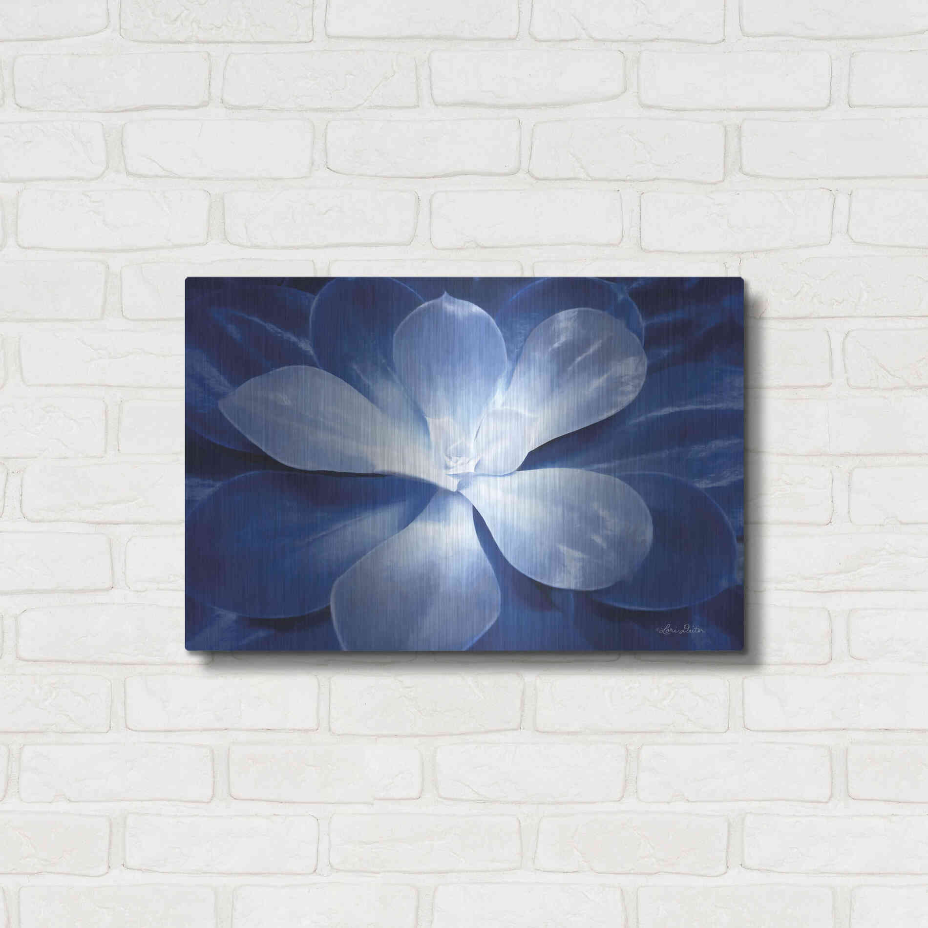 Luxe Metal Art 'Blue Succulent II' by Lori Deiter, Metal Wall Art,24x16