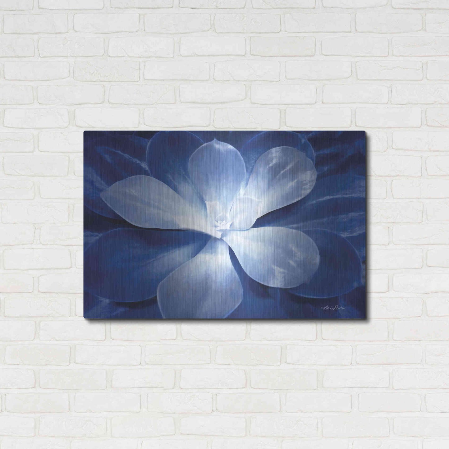 Luxe Metal Art 'Blue Succulent II' by Lori Deiter, Metal Wall Art,36x24