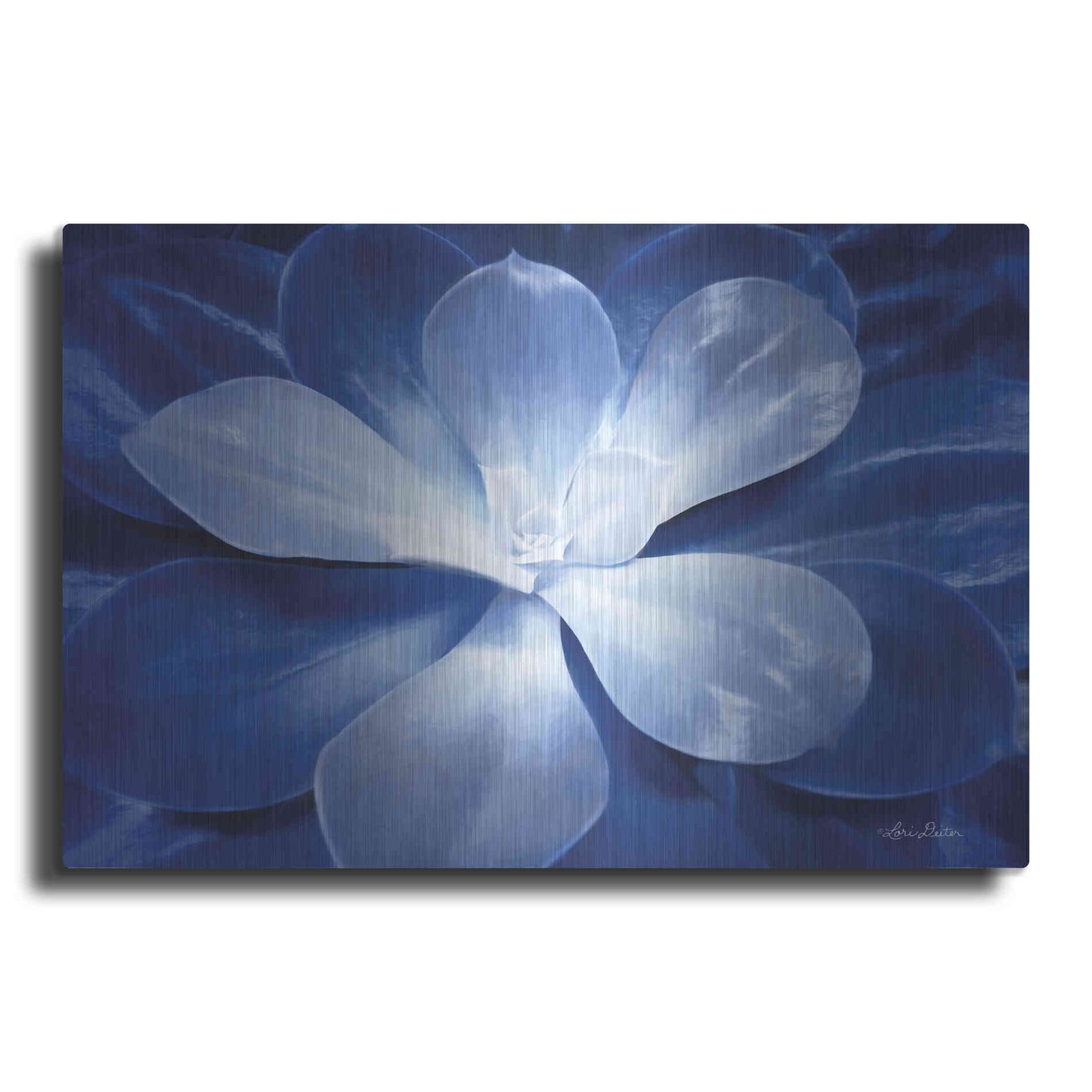 Luxe Metal Art 'Blue Succulent II' by Lori Deiter, Metal Wall Art