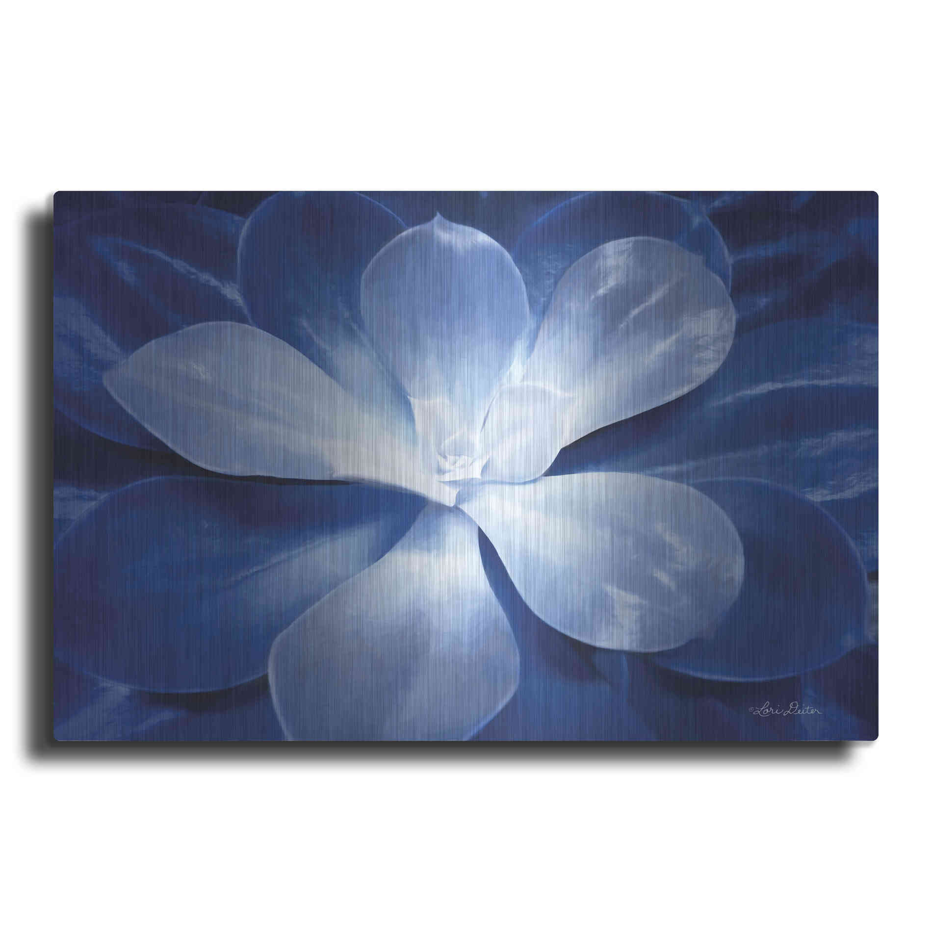 Luxe Metal Art 'Blue Succulent II' by Lori Deiter, Metal Wall Art