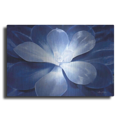 Luxe Metal Art 'Blue Succulent II' by Lori Deiter, Metal Wall Art