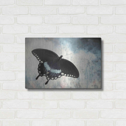 Luxe Metal Art 'Teal Butterfly I' by Lori Deiter, Metal Wall Art,24x16