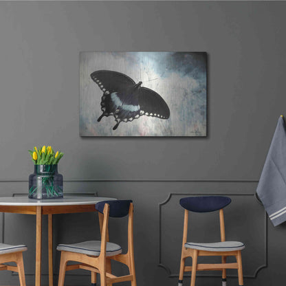 Luxe Metal Art 'Teal Butterfly I' by Lori Deiter, Metal Wall Art,36x24