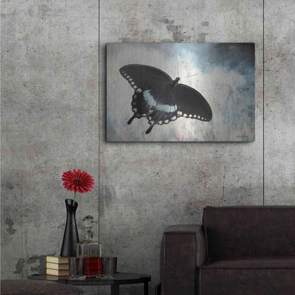 Luxe Metal Art 'Teal Butterfly I' by Lori Deiter, Metal Wall Art,36x24