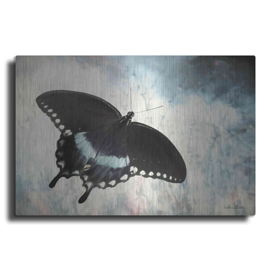 Luxe Metal Art 'Teal Butterfly I' by Lori Deiter, Metal Wall Art