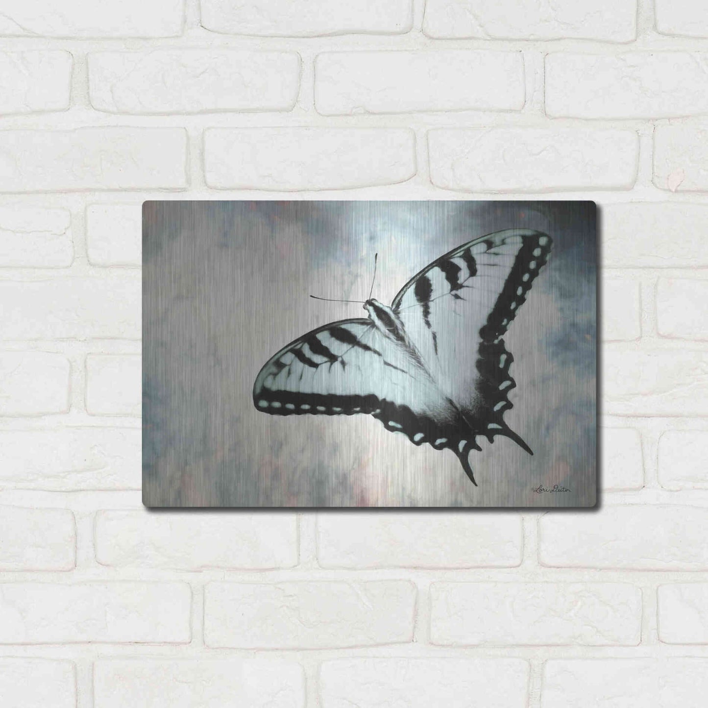 Luxe Metal Art 'Teal Butterfly II' by Lori Deiter, Metal Wall Art,16x12