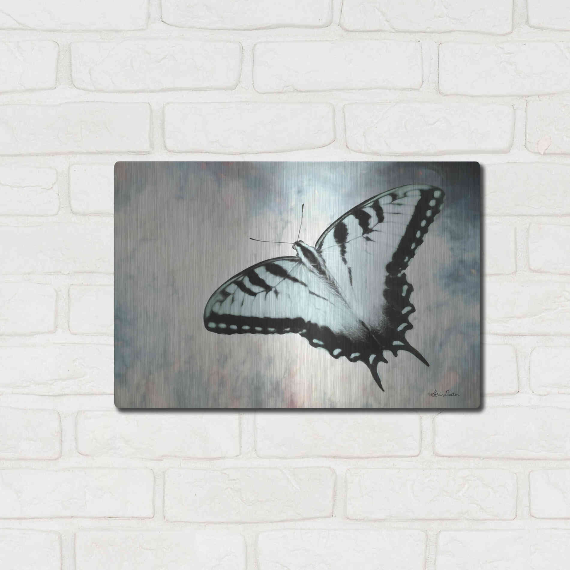 Luxe Metal Art 'Teal Butterfly II' by Lori Deiter, Metal Wall Art,16x12