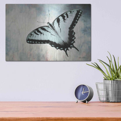 Luxe Metal Art 'Teal Butterfly II' by Lori Deiter, Metal Wall Art,16x12