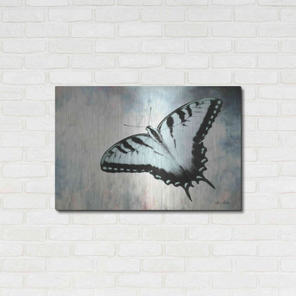 Luxe Metal Art 'Teal Butterfly II' by Lori Deiter, Metal Wall Art,36x24