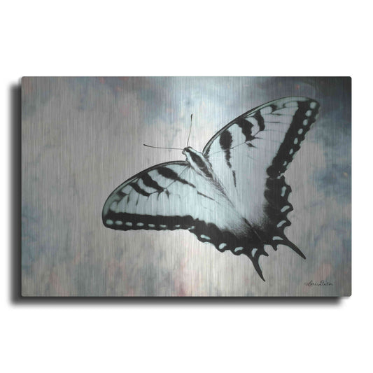 Luxe Metal Art 'Teal Butterfly II' by Lori Deiter, Metal Wall Art