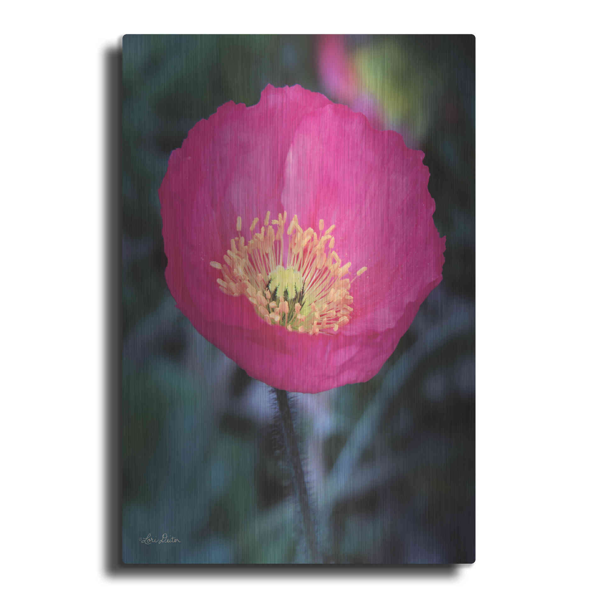 Luxe Metal Art 'Floral Pop I' by Lori Deiter, Metal Wall Art