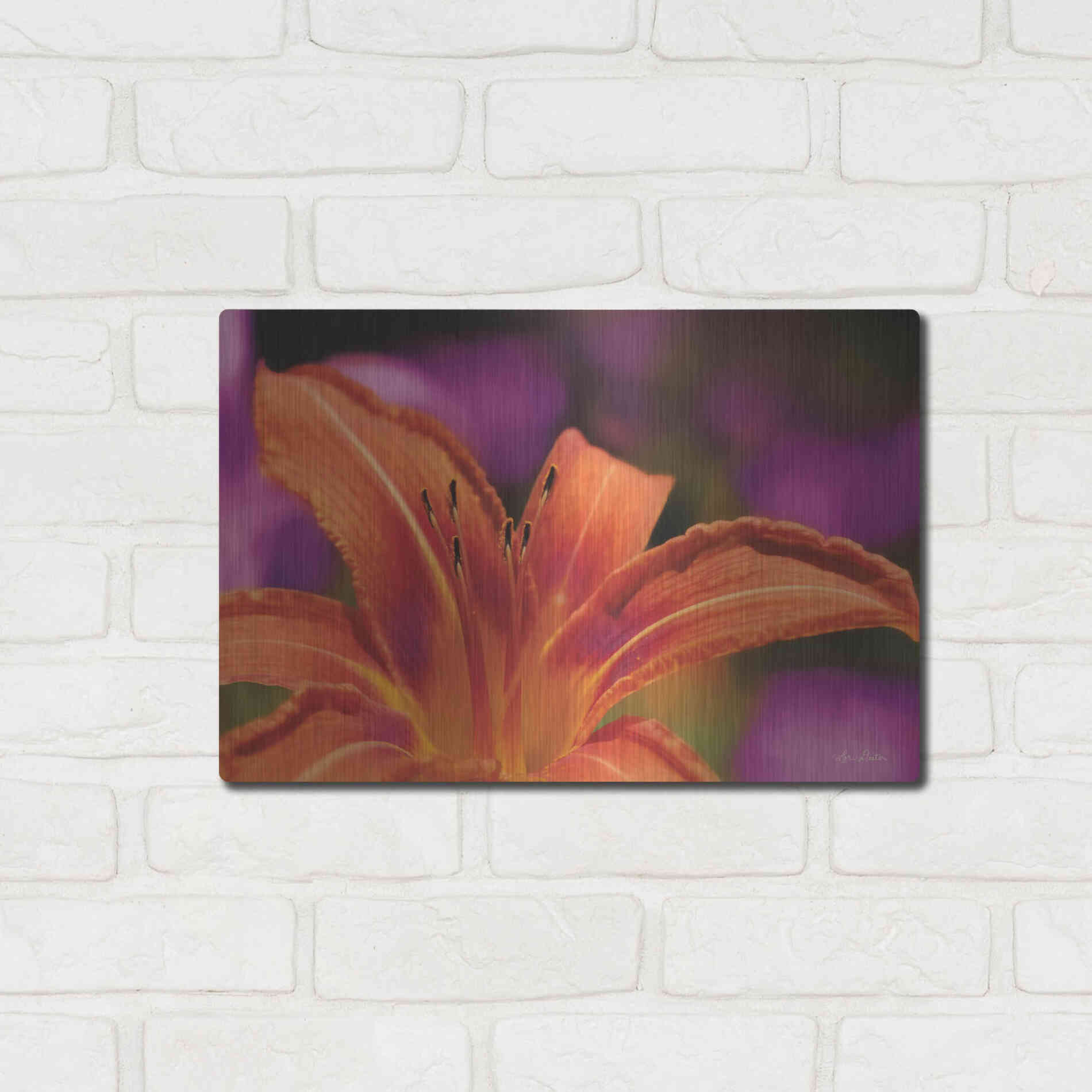 Luxe Metal Art 'Floral Pop V' by Lori Deiter, Metal Wall Art,16x12