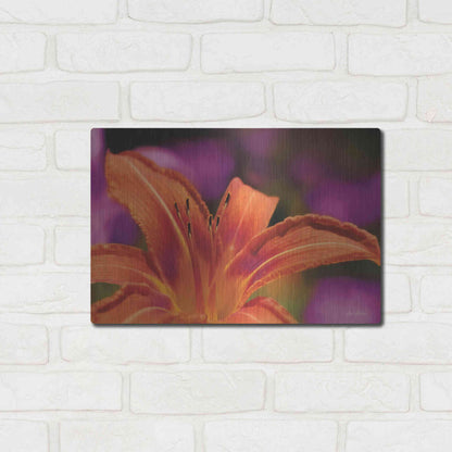 Luxe Metal Art 'Floral Pop V' by Lori Deiter, Metal Wall Art,16x12