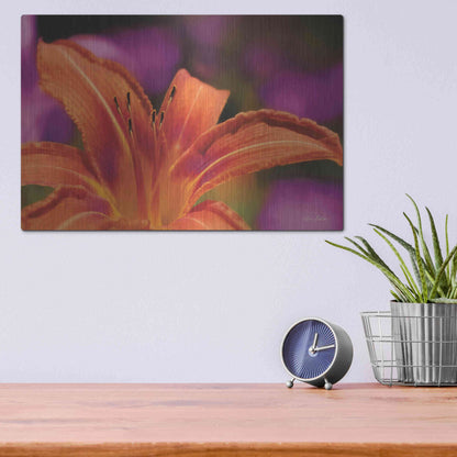 Luxe Metal Art 'Floral Pop V' by Lori Deiter, Metal Wall Art,16x12