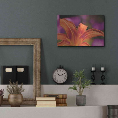 Luxe Metal Art 'Floral Pop V' by Lori Deiter, Metal Wall Art,16x12
