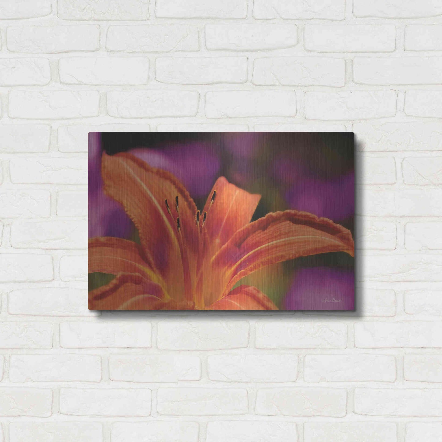Luxe Metal Art 'Floral Pop V' by Lori Deiter, Metal Wall Art,24x16