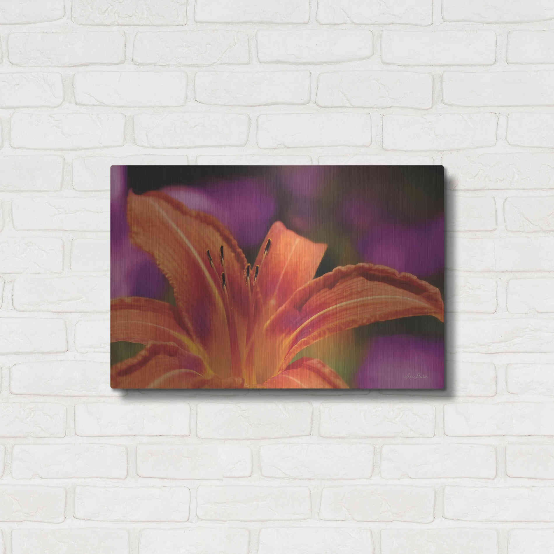 Luxe Metal Art 'Floral Pop V' by Lori Deiter, Metal Wall Art,24x16