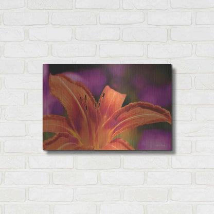Luxe Metal Art 'Floral Pop V' by Lori Deiter, Metal Wall Art,24x16