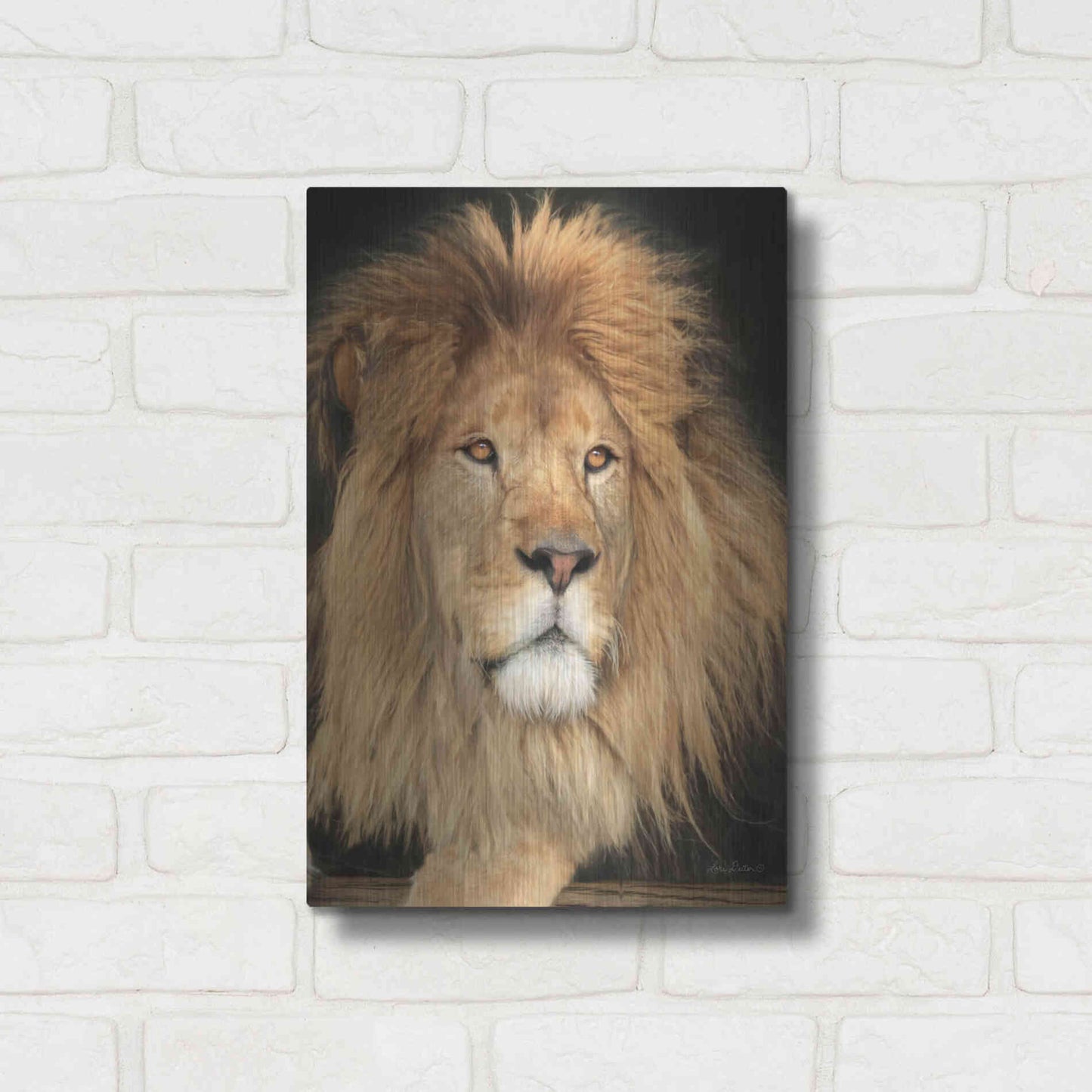 Luxe Metal Art 'King of the Jungle' by Lori Deiter, Metal Wall Art,12x16