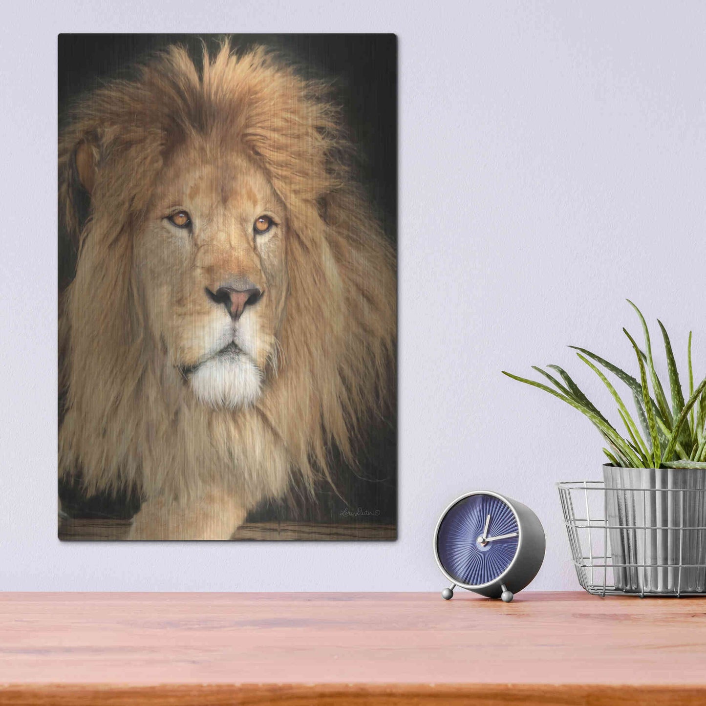 Luxe Metal Art 'King of the Jungle' by Lori Deiter, Metal Wall Art,12x16