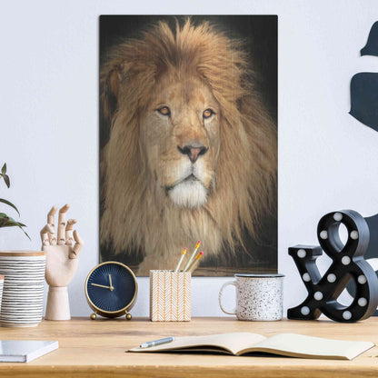 Luxe Metal Art 'King of the Jungle' by Lori Deiter, Metal Wall Art,12x16