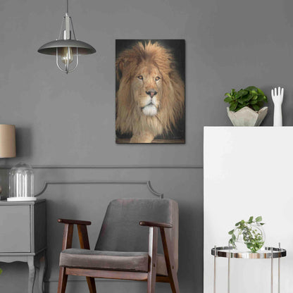 Luxe Metal Art 'King of the Jungle' by Lori Deiter, Metal Wall Art,16x24