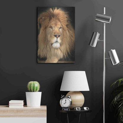 Luxe Metal Art 'King of the Jungle' by Lori Deiter, Metal Wall Art,16x24