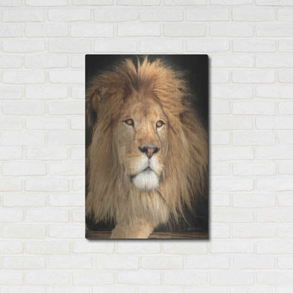 Luxe Metal Art 'King of the Jungle' by Lori Deiter, Metal Wall Art,24x36