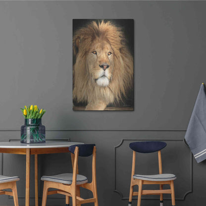 Luxe Metal Art 'King of the Jungle' by Lori Deiter, Metal Wall Art,24x36