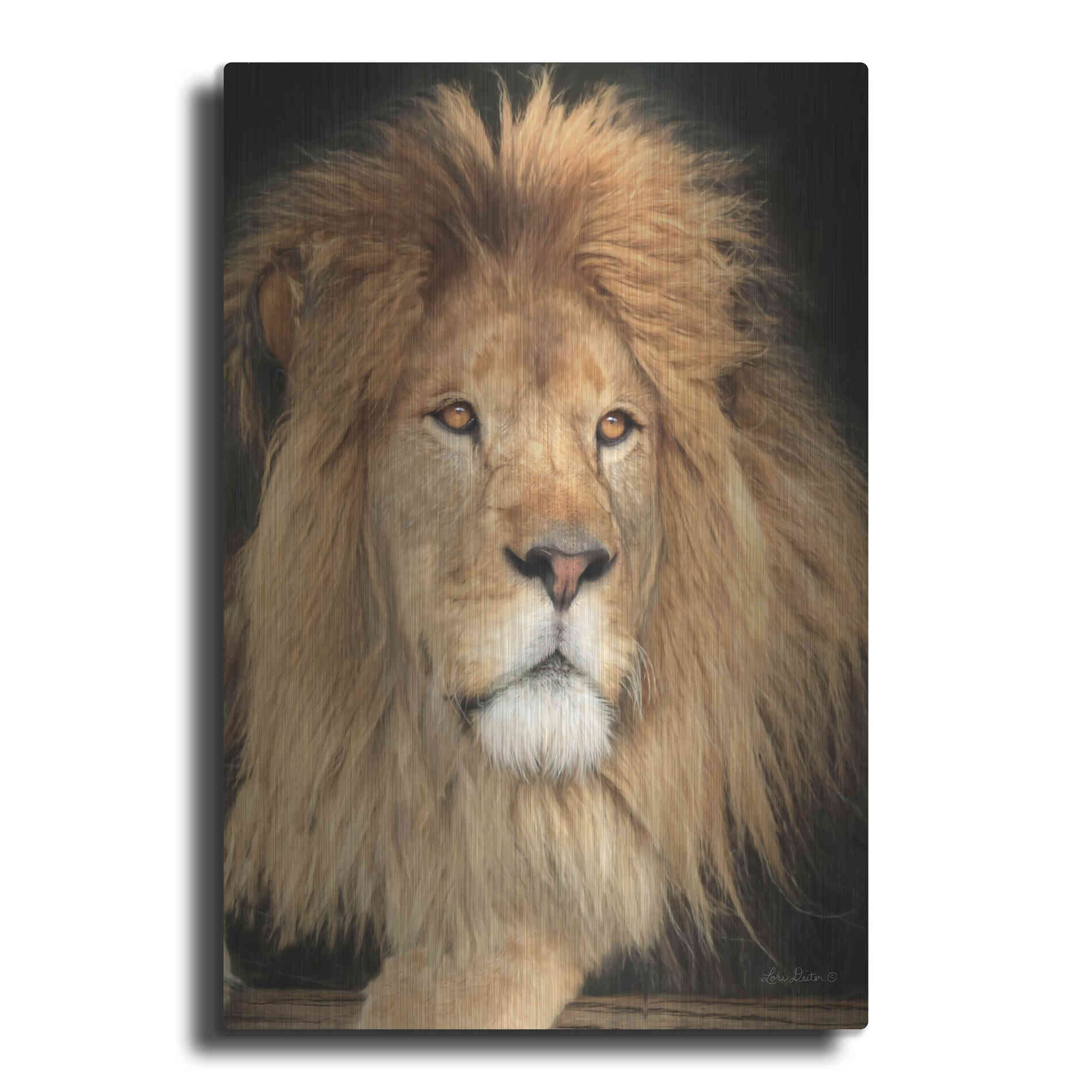 Luxe Metal Art 'King of the Jungle' by Lori Deiter, Metal Wall Art