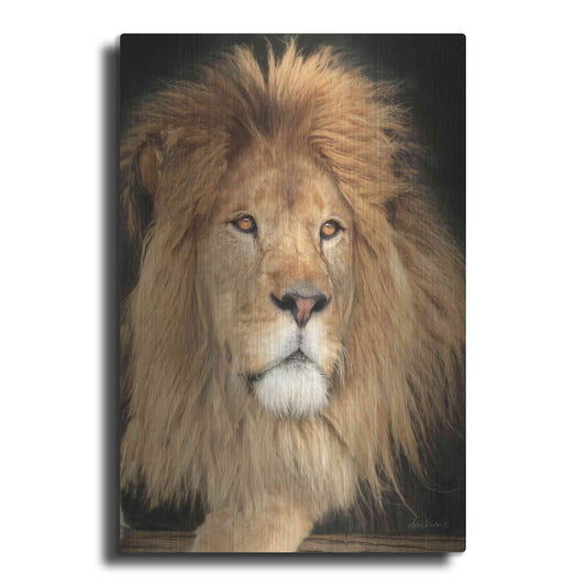 Luxe Metal Art 'King of the Jungle' by Lori Deiter, Metal Wall Art