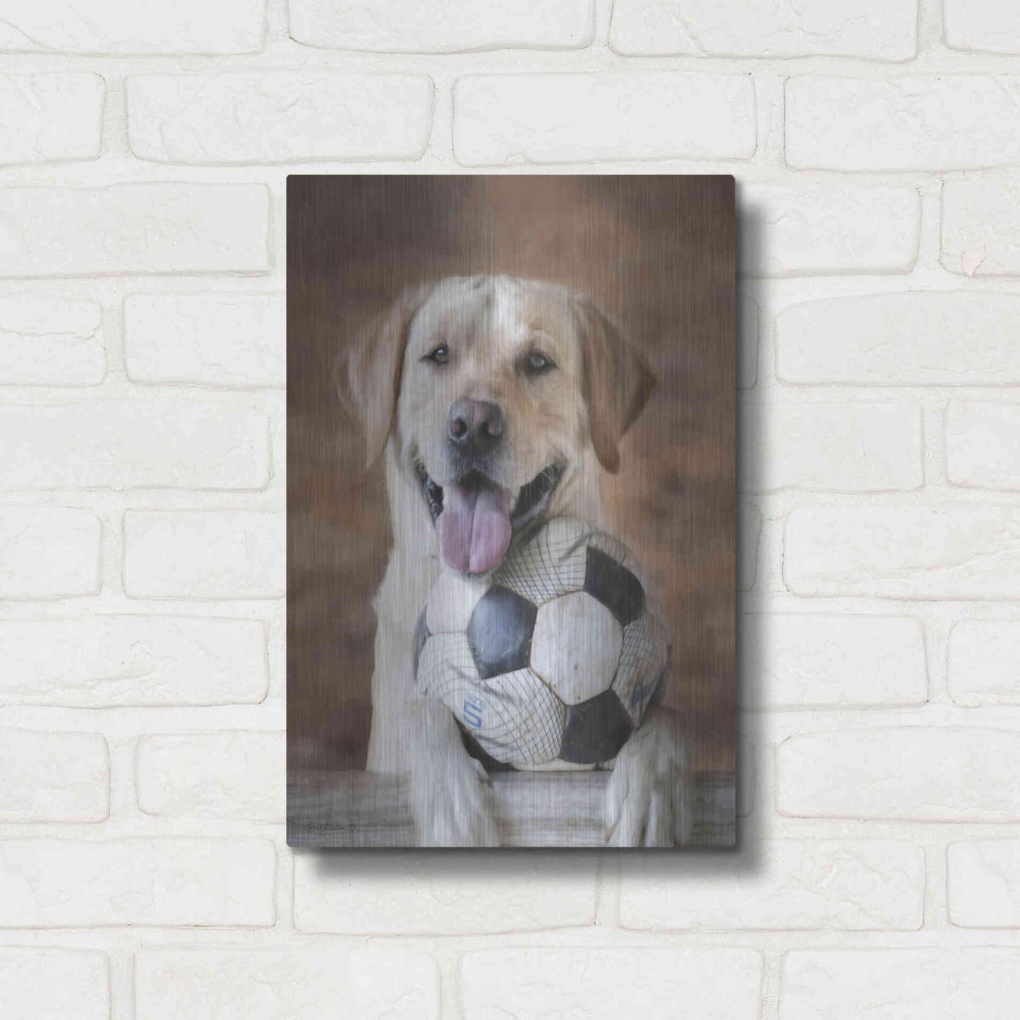 Luxe Metal Art 'Playtime' by Lori Deiter, Metal Wall Art,12x16