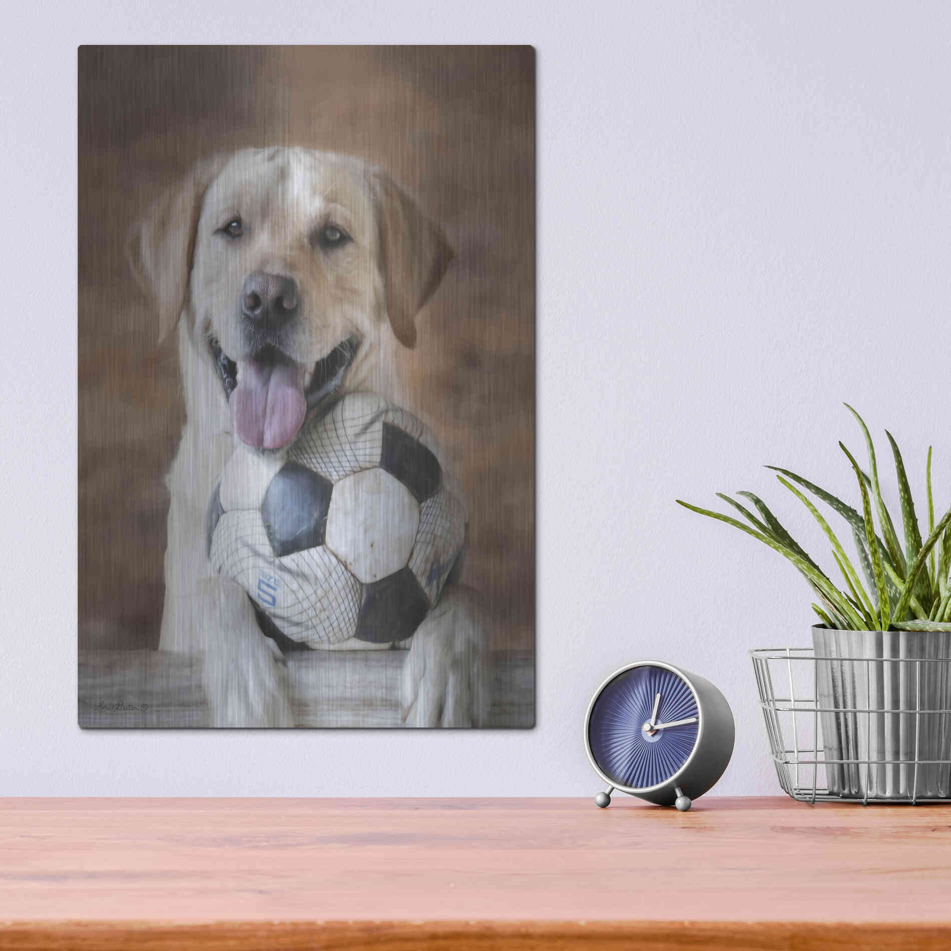 Luxe Metal Art 'Playtime' by Lori Deiter, Metal Wall Art,12x16