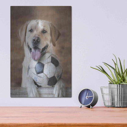 Luxe Metal Art 'Playtime' by Lori Deiter, Metal Wall Art,12x16