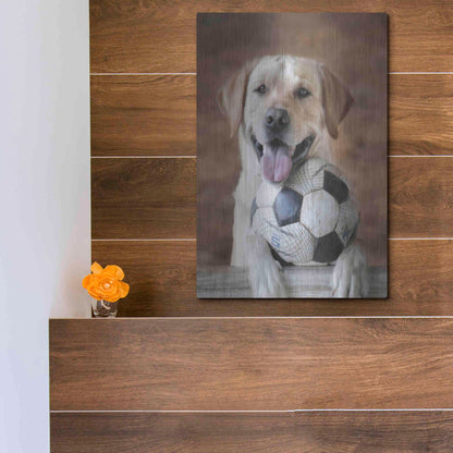Luxe Metal Art 'Playtime' by Lori Deiter, Metal Wall Art,12x16