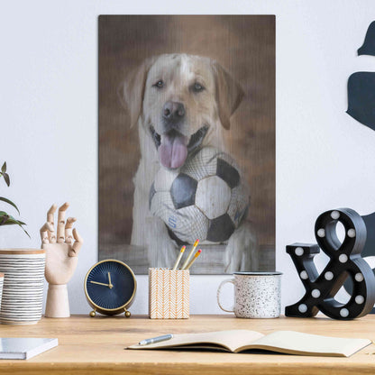 Luxe Metal Art 'Playtime' by Lori Deiter, Metal Wall Art,12x16